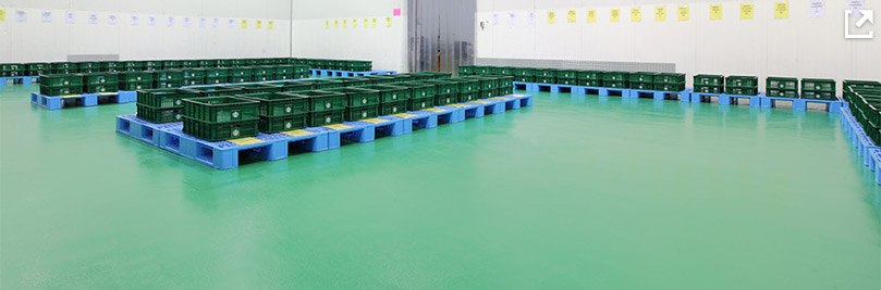 Hygienic Polyurethane Flooring