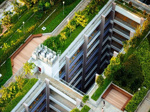 8 Planter Installation Tips to Avoid Waterproofing Failures